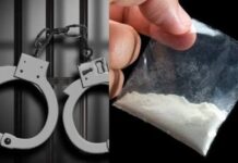 नशे के कारोबार से बनाई करोड़ों की संपत्ति, शिमला पुलिस ने कसा शिकंजा