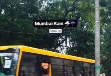 स्कूल बस चालक की लापरवाही, बच्चों से भरी बस नदी में फंसी; मचा हड़कंप