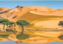 रेगिस्तान में भी बरसेंगे मेघ, भारी बारिश को लेकर बड़ा अलर्ट