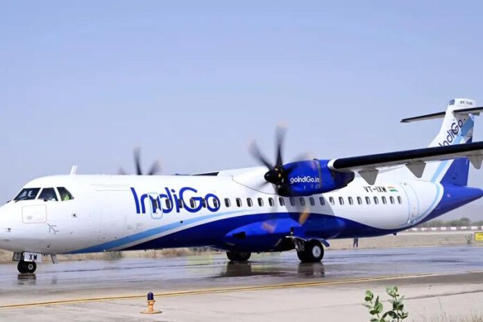 indigo.jpg