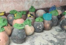 दर्जनों सांपों को कैद से मिली आजादी, नागपंचमी से पहले प्रशासन की बड़ी कार्रवाई
