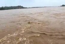 पार्वती नदी उफान पर, खतरे के निशान से ऊपर जलस्तर; बैरसिया-नरसिंहगढ़ मार्ग बंद
