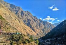 सैर बनी मौत का सफर: पत्नी को 100 मीटर गहरी खाई में फेंका, झाड़ियों ने बचाई जिंदगी
