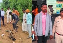 मक्का के जहरीले दाने बने मौत की वजह, पांच मोरों की मौत के बाद किसान गिरफ्तार