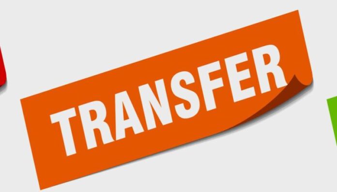 transfer.jpg
