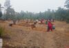 मनरेगा से बदली निम्मलगुड़ा की तस्वीर