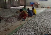 वनांचल में रेशम की चमक