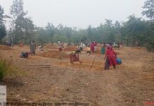 मनरेगा से बदली निम्मलगुड़ा की तस्वीर