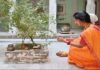 गृह क्लेश और कंगाली का कारण तो नहीं घर का आंगन? जानें वास्तुशास्त्र के ये अहम नियम