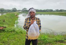 वीबी-जी राम जी आजीविका डबरी मिशन से बरातु सिंह को मिला आय का नया आधार