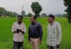 डिजिटल क्रॉप सर्वे से खेत-खेत दर्ज हो रही फसल की वास्तविक जानकारी, धान खरीदी की राह होगी आसा