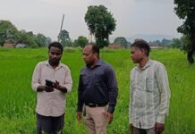 डिजिटल क्रॉप सर्वे से खेत-खेत दर्ज हो रही फसल की वास्तविक जानकारी, धान खरीदी की राह होगी आसा
