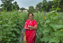 बिहान से बहनों को मिला आर्थिक संबल, खीरे की खेती से सुभद्रा मंडल ने लिखी आत्मनिर्भरता की नई कहानी