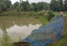अबूझमाड़ के सोमारू ने मछली पालन से बदली तकदीर