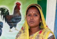मेहनत, हुनर और सरकारी सहयोग से बदली कमलेश की जिंदगी, बनीं ‘लखपति दीदी’