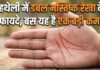 क्या आपकी हथेली में है डबल मस्तिष्क रेखा? हर जगह इनको मिलती तरक्की, बस एक चीज में खा जाते हैं मात