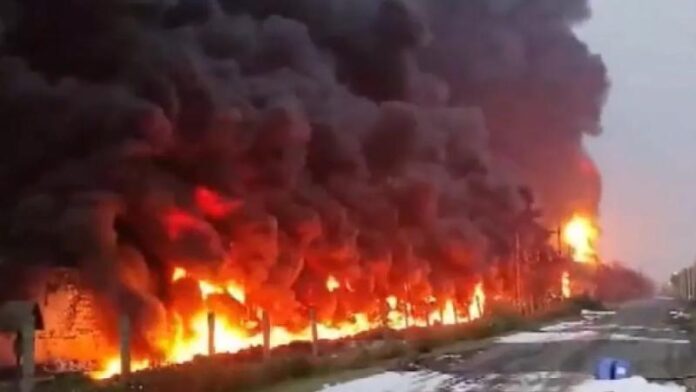 14_09_2025-gujarat_fire_24046519.jpg