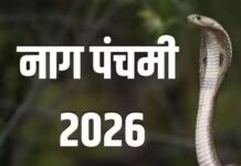 बार-बार आते हैं डरावने सपने? कालसर्प दोष है कारण, नाग पंचमी पर करें ये आसान उपाय, दूर होंगी बाधाएं