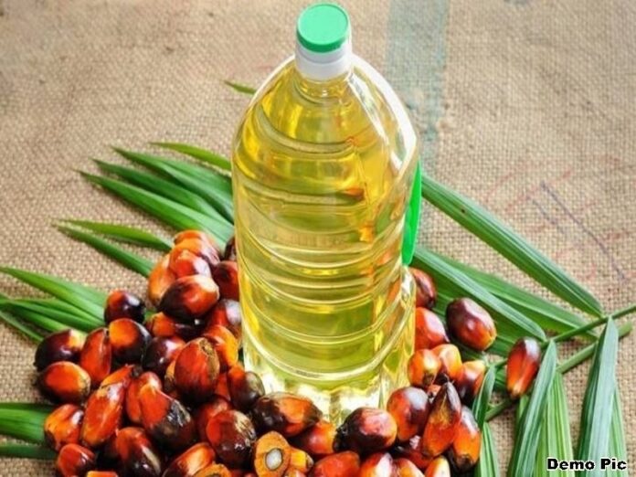 26_04_2022-palm_oil_2022426_1756.jpg
