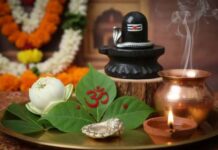 सावन में शिव पूजा के लिए कौन सा बेलपत्र है सही, कैसे करें इसकी पहचान?