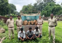 रामानुजनगर वन परिक्षेत्र में अवैध काष्ठ परिवहन पर बड़ी कार्रवाई
