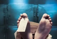 आपसी विवाद के दौरान चाकू से हमला, व्यक्ति की मौत, दामाद हिरासत में