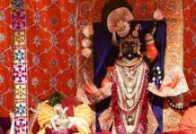 भक्तों को चावल के दानों में दर्शन देते हैं भगवान श्रीनाथजी