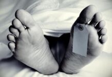 विशाल गणपति प्रतिमा गिरने से मचा हड़कंप, दो लोगों की मौत