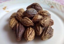 हरड़ के इस्तेमाल से सेहत को मिल सकते हैं कई फायदे, जानें सही तरीका