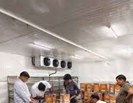 राजस्थान में शहरी विकास को मिलेगी नई रफ्तार, आरयूआईडीपी फेज-5 के कार्यों पर मंथन