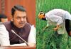महाराष्ट्र में 16 लाख किसानों का कर्ज माफ, सीएम फडणवीस ने किया बड़ा ऐलान