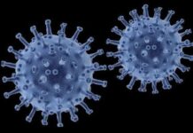 H1N2 को लेकर बढ़ी चिंता, चीन में पहली बार इंसान में संक्रमण; जानें कितना है खतरा