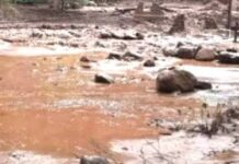 ग्रैंड कैन्यन में बाढ़ का खौफनाक मंजर, 62 लोगों का रेस्क्यू; 15 लापता