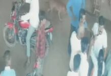 बिलासपुर में भाजपा नेत्री पर कार्रवाई, पद से हटाया गया; पुलिस ने दर्ज की FIR
