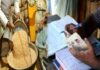 राशन दुकानों की अब होगी सख्त निगरानी, एसडीएम करेंगे नियमित निरीक्षण