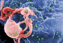 HIV संक्रमण को लेकर अलर्ट, मेघालय में तेजी से बढ़े नए मामले