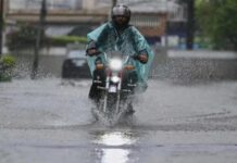 मध्य प्रदेश में फिर बदला मौसम, जबलपुर-चंबल समेत इन संभागों में भारी बारिश