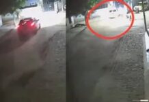 तेज रफ्तार कार ने मचाई तबाही, घर का गेट तोड़कर अंदर घुसी; बड़ा हादसा टला