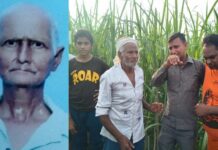 दादा को बचाने के लिए गिड़गिड़ाता रहा पोता, आवारा कुत्तों की घटना से गांव में मचा हड़कंप