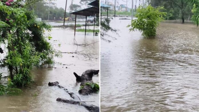 mp_flood_1786334792872_17863347.jpg