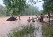 राजदारी-देवदारी घूमने पहुंचे तीन युवक मुसीबत में फंसे, टीम ने सुरक्षित किया रेस्क्यू