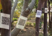 पेड़-पौधों को बनाया डिजिटल, 500 पौधों पर लगाए QR कोड; शिक्षक को राष्ट्रपति सम्मान