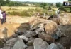 कीमती पत्थर की तलाश में जंगल पहुंचे हजारों ग्रामीण, हालात हुए तनावपूर्ण