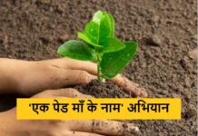 5 हजार पौधों से हरा-भरा होगा ग्वालियर, ‘एक पेड़ मां के नाम’ अभियान में शामिल होंगे अधिकारी