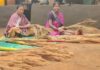 अबुझमाड़ की नई सुबह: जब जंगलों की छांव से निकलकर स्वावलंबन की मिसाल बनीं नारायणपुर की महिलाएं