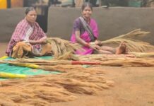 अबुझमाड़ की नई सुबह: जब जंगलों की छांव से निकलकर स्वावलंबन की मिसाल बनीं नारायणपुर की महिलाएं