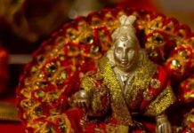 बाल गोपाल, बांसुरी वाले कान्हा या कोई और? घर में श्रीकृष्ण का कौन सा स्वरूप रखना है शुभ
