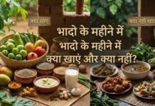 शुरू हुआ भादो का महीना, सितंबर में भूलकर भी ना खाएं बैंगन समेत ये सब्जियां और ये 2 दाल, हावी हो जाएंगी गरीबी और बीमारियां