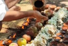 पितृ पक्ष में श्राद्ध और पिंडदान के दौरान कुशा धारण करने का जानें महत्व, पितर होते हैं प्रसन्न