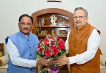 छत्तीसगढ़ के औद्योगिक विकास को मिलेगी नई रफ्तार, राजनांदगांव में बनेगा फर्टिलाइजर प्लांट